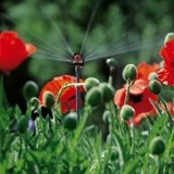 GARDENA 1396-20 Pièce Et Accessoire De Système D'irrigation Buse De Pulvérisation, Pulvérisateur (Orange/gris, Buse De Pulvérisation, Système D'irrigation Goutte-à-goutte, Rouge, Noir, 360°, 1 Pièce(s)) 6 GARDENA 1396-20 Pièce Et Accessoire De Système D'irrigation Buse De Pulvérisation, Pulvérisateur (Orange/gris, Buse De Pulvérisation, Système D'irrigation Goutte-à-goutte, Rouge, Noir, 360°, 1 Pièce(s)) – Image 4