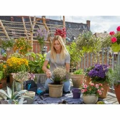 GARDENA Tapis De Plantation L (Turquoise/gris) -Pas Cher Irrigation Magasin GARDENA Tapis de plantation L @@9whmzu02 4