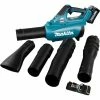Makita UB001GM101, Souffleur De Feuilles (Bleu/Noir)