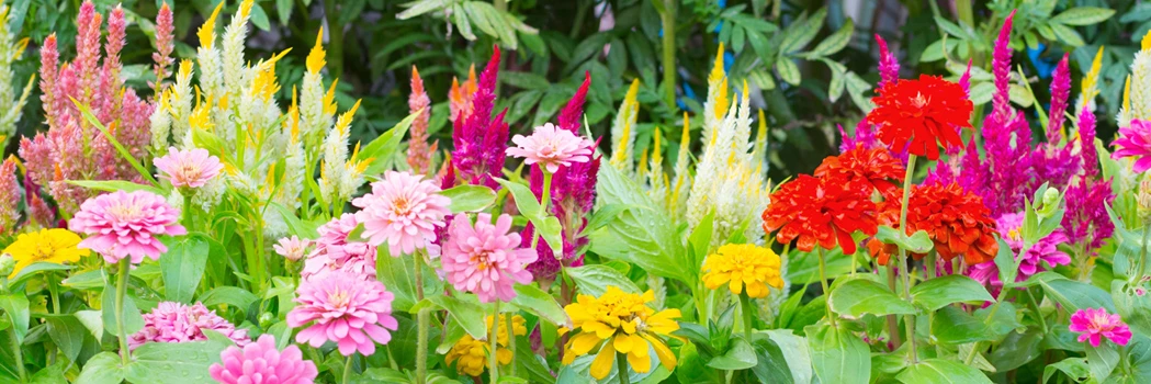 Pas Cher Irrigation Magasin -Pas Cher Irrigation Magasin SNG top banner garden 1