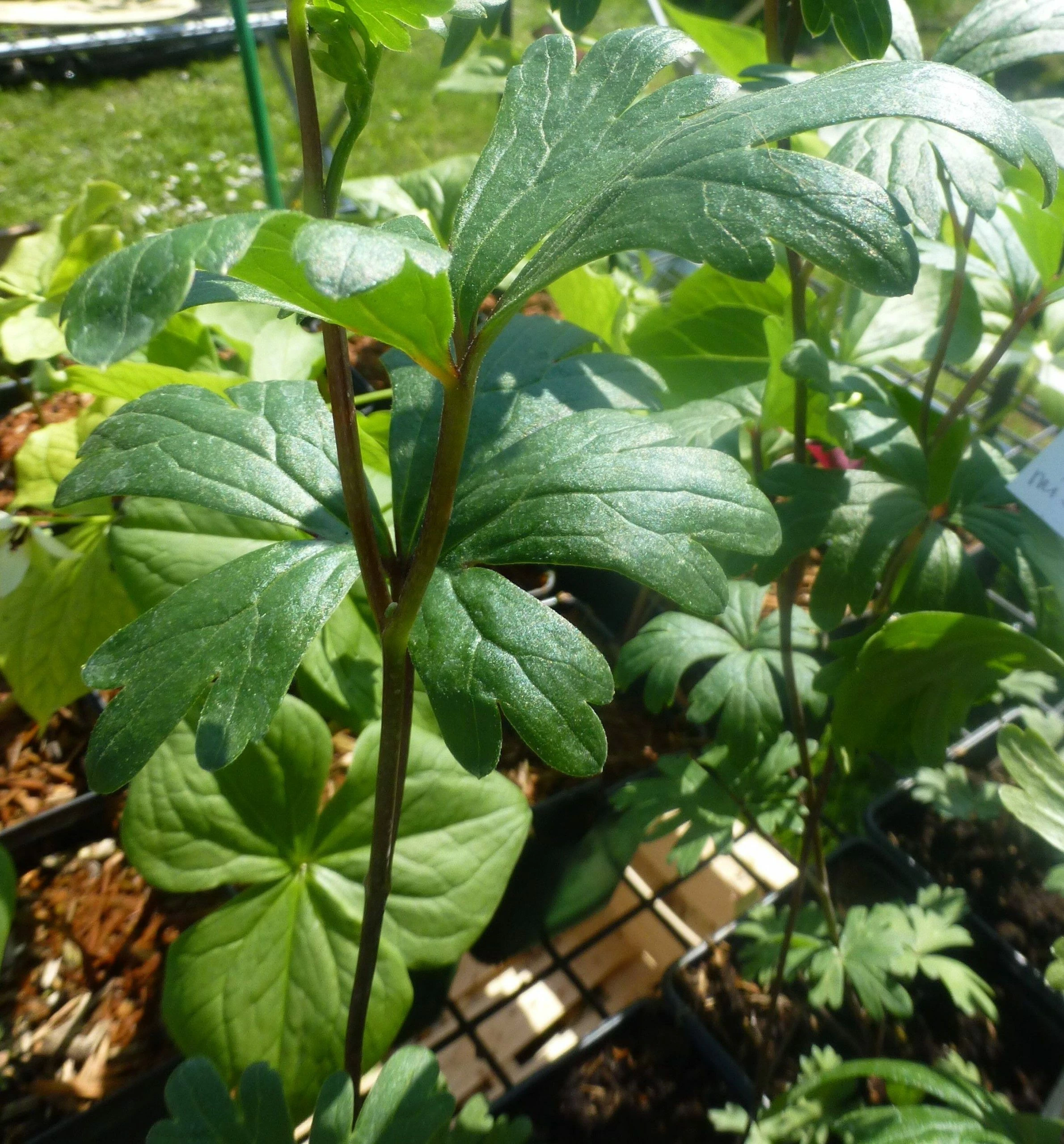 Pas Cher Irrigation Magasin -Pas Cher Irrigation Magasin lADPM5yLD7I8IeTNCyzNCmM 2659 2860 scaled